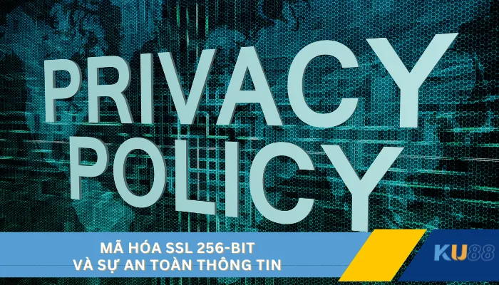 Mã hóa SSL 256-bit và sự an toàn thông tin